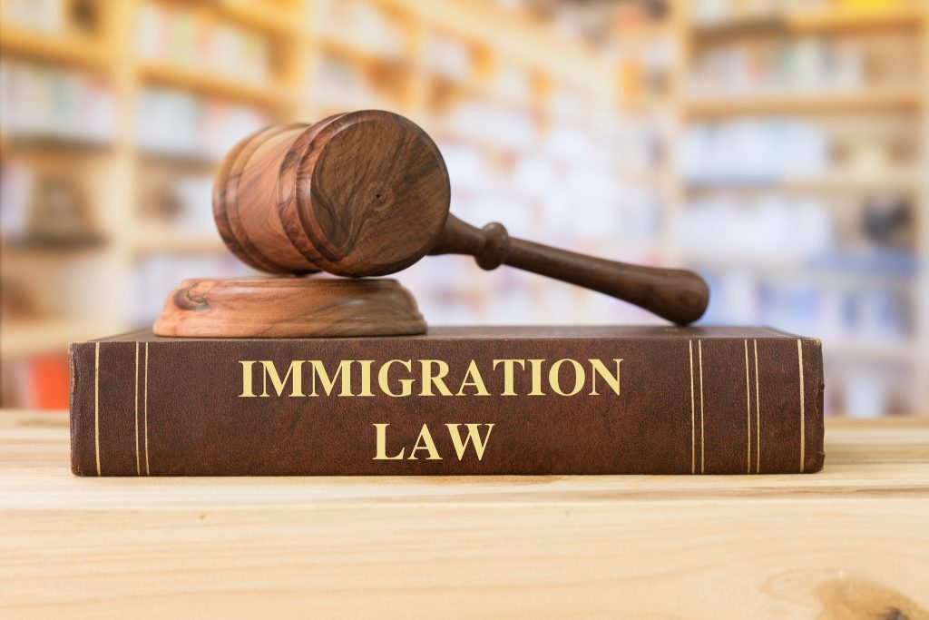 Immigration Lawyer 
