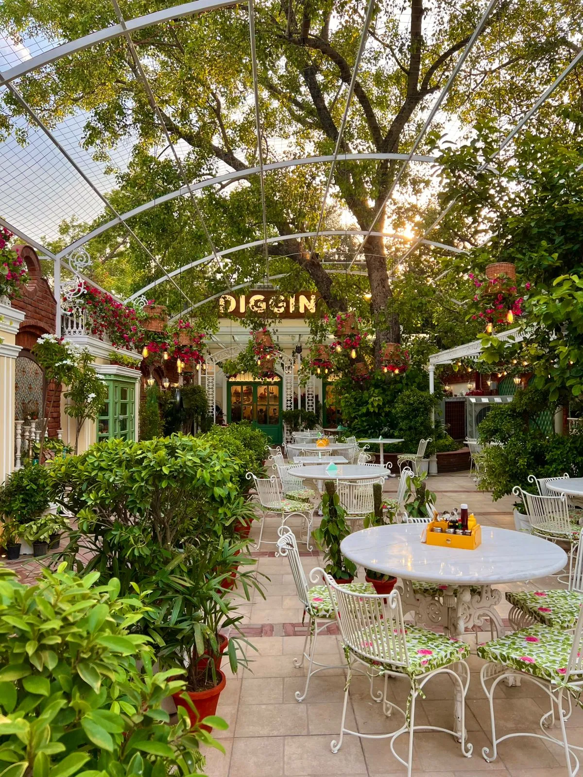 Outdoor Seating Dining